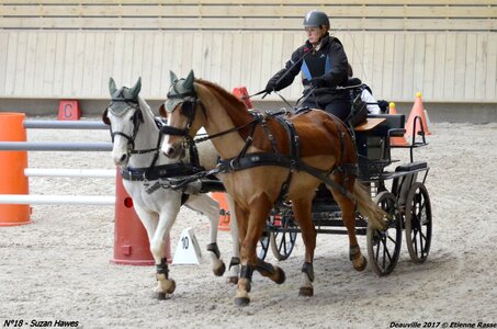 2017-03 Indoor de Deauville - CCA Poneys, 18-DSC_4615