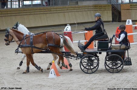 2017-03 Indoor de Deauville - CCA Poneys, 18-DSC_4616