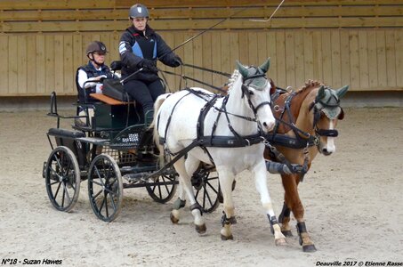 2017-03 Indoor de Deauville - CCA Poneys, 18-DSC_4624