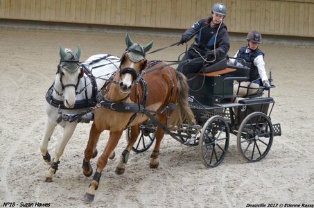 2017-03 Indoor de Deauville - CCA Poneys, 18-DSC_4629