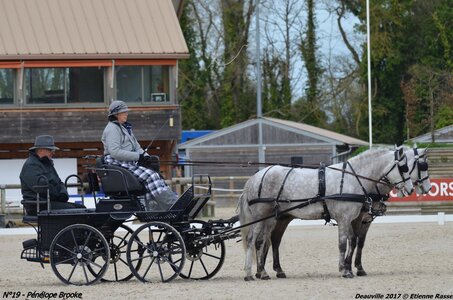 2017-03 Indoor de Deauville - CCA Poneys, 19-DSC_3988