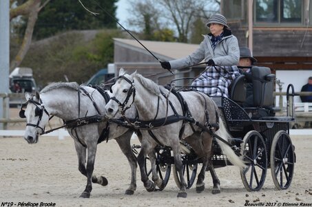 2017-03 Indoor de Deauville - CCA Poneys, 19-DSC_3990