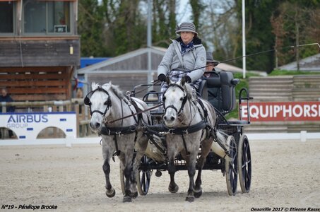 2017-03 Indoor de Deauville - CCA Poneys, 19-DSC_3992