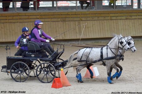 2017-03 Indoor de Deauville - CCA Poneys, 19-DSC_4644