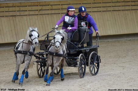 2017-03 Indoor de Deauville - CCA Poneys, 19-DSC_4647