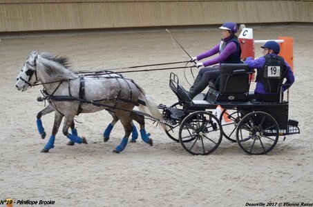 2017-03 Indoor de Deauville - CCA Poneys, 19-DSC_4649