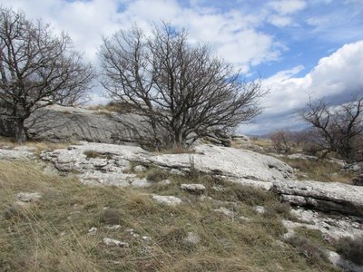 Randonnée du 22//03/2017 à la montagne de Gâche, IMG_0228