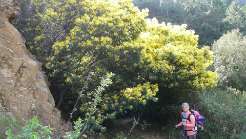 Agay fevrier 2017, P1380476