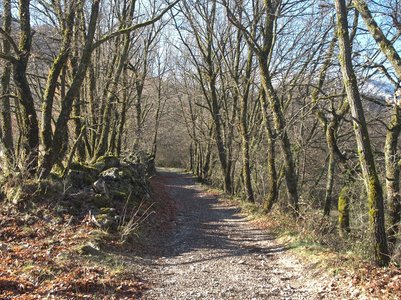 Randonnée du 26 mars 2017 -vallée du Jabron, P3260019  Copier 