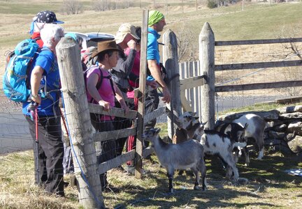2017-03 CAF CEZALLIER, 2017-03-16_1406