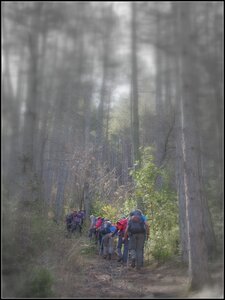 Randonnée du 28 mars 2017 au col St Ange et rocher St Michel, P3280011  Copier 