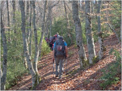 Randonnée du 28 mars 2017 au col St Ange et rocher St Michel, P3280015-001  Copier 