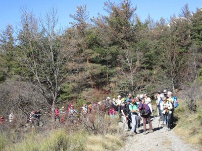 Randonnée du 29/03/2017 à Rougier, IMG_0247
