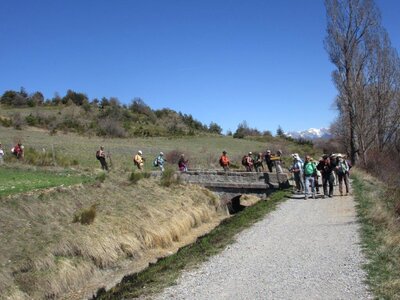 Randonnée du 29/03/2017 à Rougier, IMG_0257