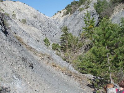 Randonnée du 03/04/2017 à Chanteloube, _copie-0_P1010011