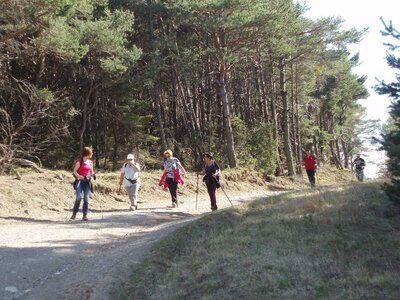 Randonnée du 03/04/2017 à Chanteloube, _copie-0_P1010034