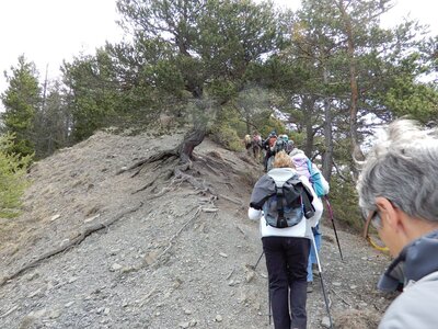 Randonnée du  05/04/2017 au Morgonnet, DSCN0642