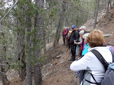 Randonnée du  05/04/2017 au Morgonnet, DSCN0645
