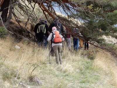 Randonnée du  05/04/2017 au Morgonnet, DSCN0626