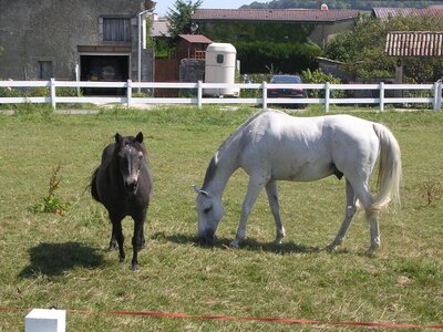 Pagny la Blanche Côte, DSCN3870