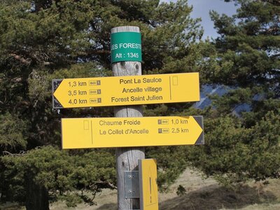 Randonnée du  10/04/2017 sur le tour de Manse, _copie-0_P1010025 (1)