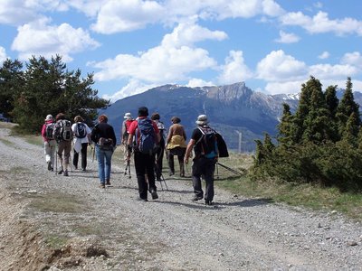 Randonnée du  10/04/2017 sur le tour de Manse, _copie-0_P1010008 (1)