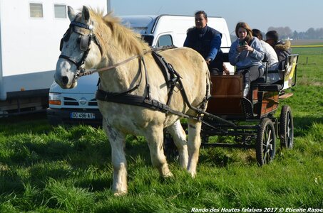 2017-04-09 Randonnée en attelage des Hautes Falaises, DSC_4820