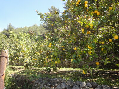 J3, DSC00060