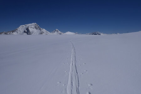 2017-04-15-21-ski-glaciers-vanoise, alpes-aventure-ski-glaciers-vanoise-col-dard-2017-04-20-43
