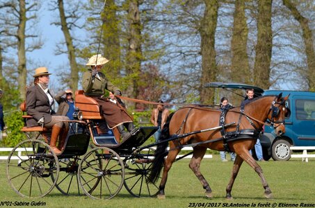 2017-04-23 CCA Saint Antoine la forêt - Concurrents amateurs, 01-DSC_5089