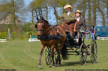 2017-04-23 CCA Saint Antoine la forêt - Concurrents amateurs, 01-DSC_5091