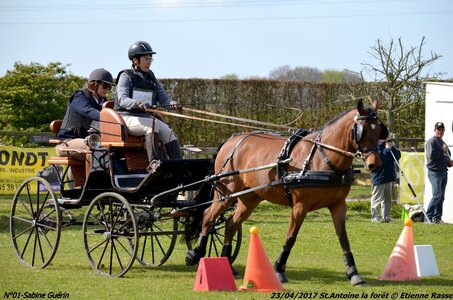 2017-04-23 CCA Saint Antoine la forêt - Concurrents amateurs, 01-DSC_5916