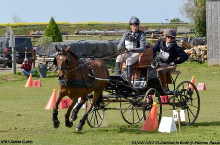 2017-04-23 CCA Saint Antoine la forêt - Concurrents amateurs, 01-DSC_5933