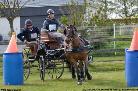 2017-04-23 CCA Saint Antoine la forêt - Concurrents amateurs, 01-DSC_5941
