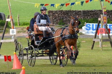2017-04-23 CCA Saint Antoine la forêt - Concurrents amateurs, 01-DSC_5951