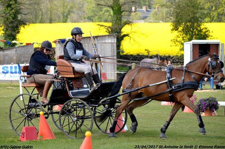 2017-04-23 CCA Saint Antoine la forêt - Concurrents amateurs, 01-DSC_5953