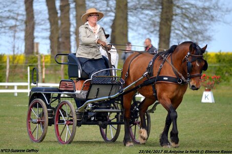 2017-04-23 CCA Saint Antoine la forêt - Concurrents amateurs, 03-DSC_5097