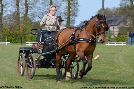 2017-04-23 CCA Saint Antoine la forêt - Concurrents amateurs, 03-DSC_5102