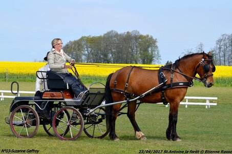 2017-04-23 CCA Saint Antoine la forêt - Concurrents amateurs, 03-DSC_5105