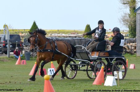 2017-04-23 CCA Saint Antoine la forêt - Concurrents amateurs, 03-DSC_5976