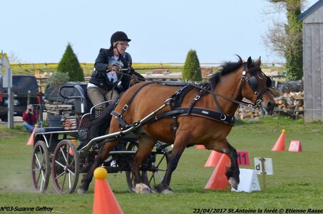 2017-04-23 CCA Saint Antoine la forêt - Concurrents amateurs, 03-DSC_5978
