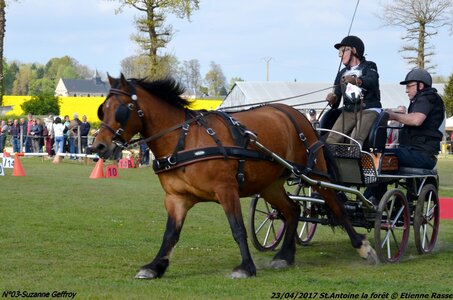 2017-04-23 CCA Saint Antoine la forêt - Concurrents amateurs, 03-DSC_6028