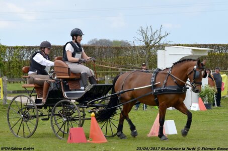 2017-04-23 CCA Saint Antoine la forêt - Concurrents amateurs, 04-DSC_5293