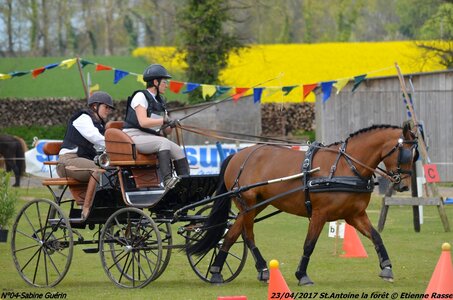 2017-04-23 CCA Saint Antoine la forêt - Concurrents amateurs, 04-DSC_5307