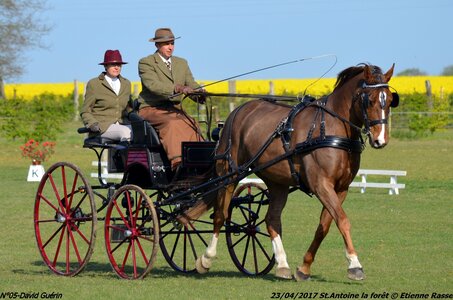 2017-04-23 CCA Saint Antoine la forêt - Concurrents amateurs, 05-DSC_5030