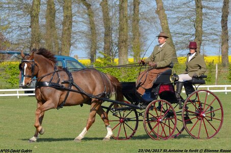 2017-04-23 CCA Saint Antoine la forêt - Concurrents amateurs, 05-DSC_5037