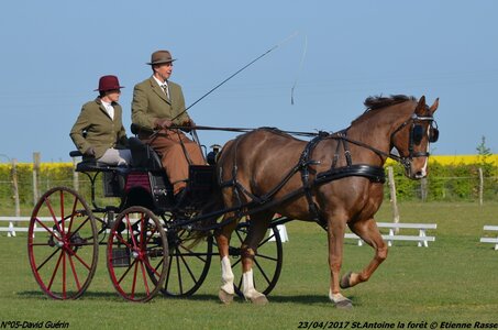 2017-04-23 CCA Saint Antoine la forêt - Concurrents amateurs, 05-DSC_5039