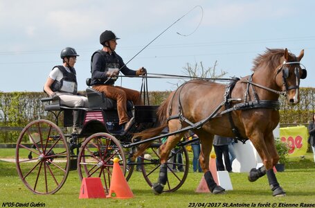 2017-04-23 CCA Saint Antoine la forêt - Concurrents amateurs, 05-DSC_5681