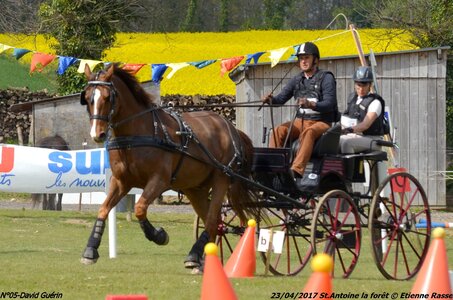 2017-04-23 CCA Saint Antoine la forêt - Concurrents amateurs, 05-DSC_5691