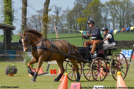 2017-04-23 CCA Saint Antoine la forêt - Concurrents amateurs, 05-DSC_5697